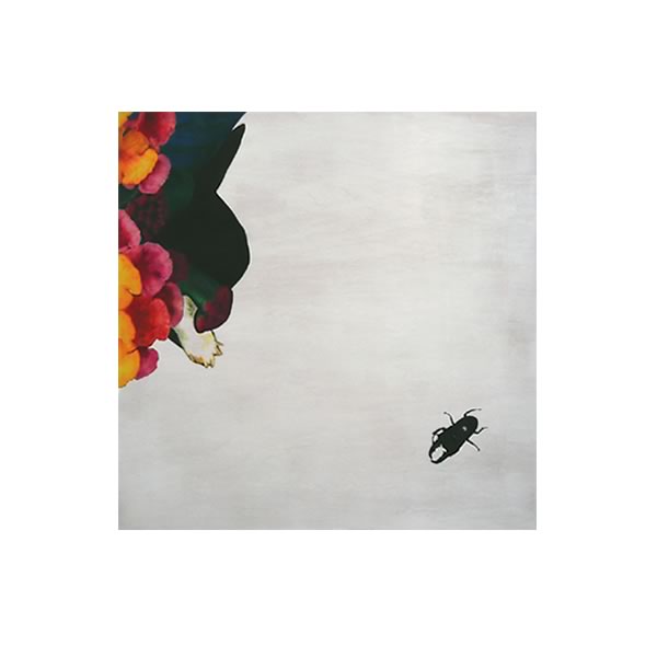 隠 我 追 方 - インガオウホウ -