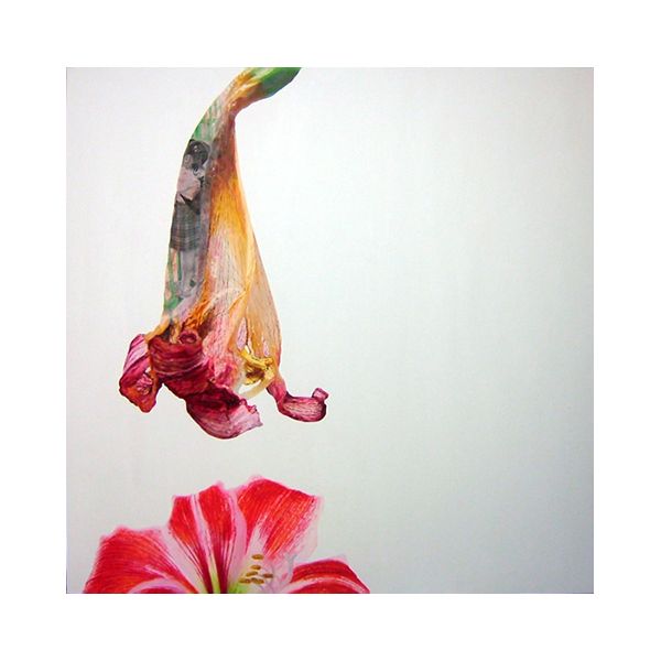 = (equal) -Red life-